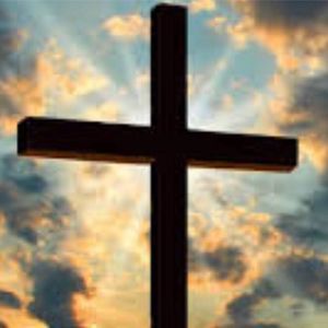 Meet your Posher, Bryan